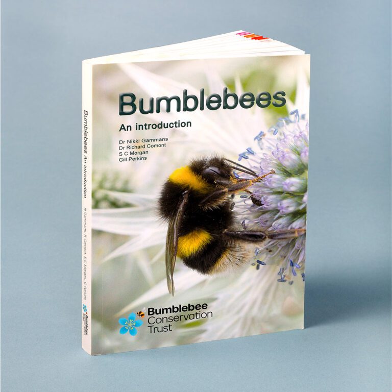 Bee the change - Bumblebee Conservation Trust
