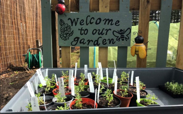 Our school garden - Bumblebee Conservation Trust