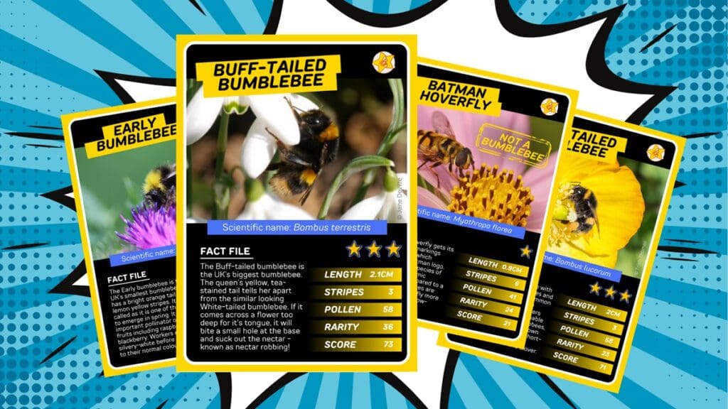 A selection of Buzzcards, used for livestreaming on Twitch.