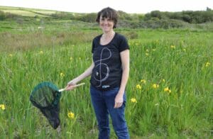 Person with net in wildflower area