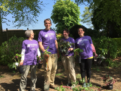 A group of volunteers helping with gardening and clearing shrub