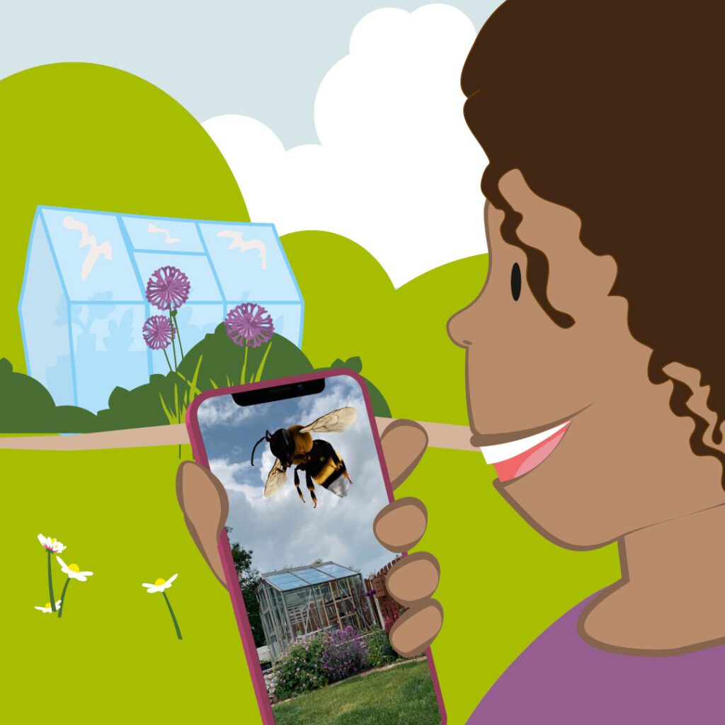 Illustration of child looking at the Bee App on phone in garden