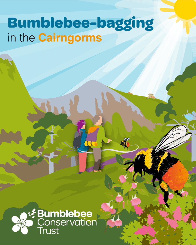 Illustrated graphic showing two hillwalkers surrounded by mountains, flowers and the Blaeberry bumblebee