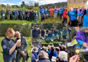 A montage of images showing people and bumblebees