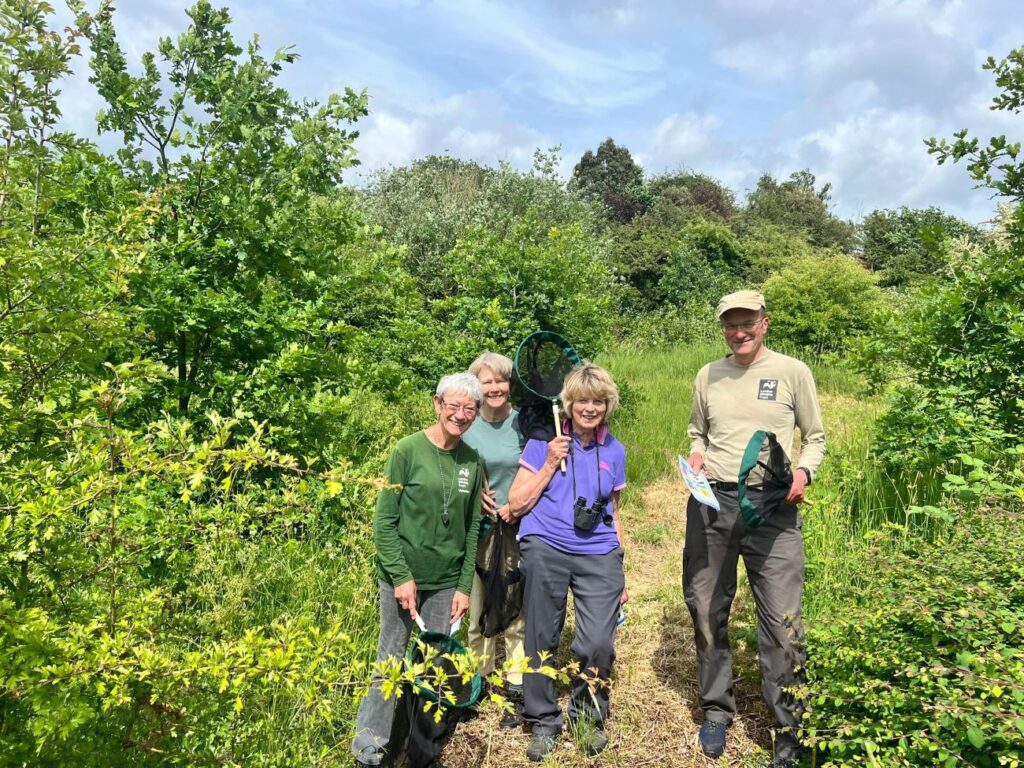 Group of people completing a BeeWalk surrounded by trees and hedges with blue skies