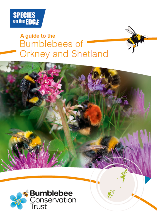 Montage of bumblebee images with Trust logo and Species on the Edge logo