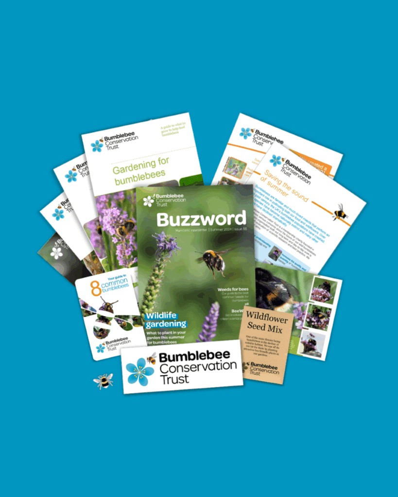 The items included in a Bumblebee Conservation Trust Memerership welcome pack..
