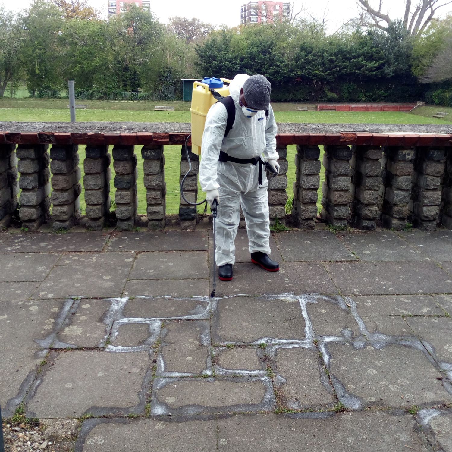 campaigning - Bumblebee Conservation Trust