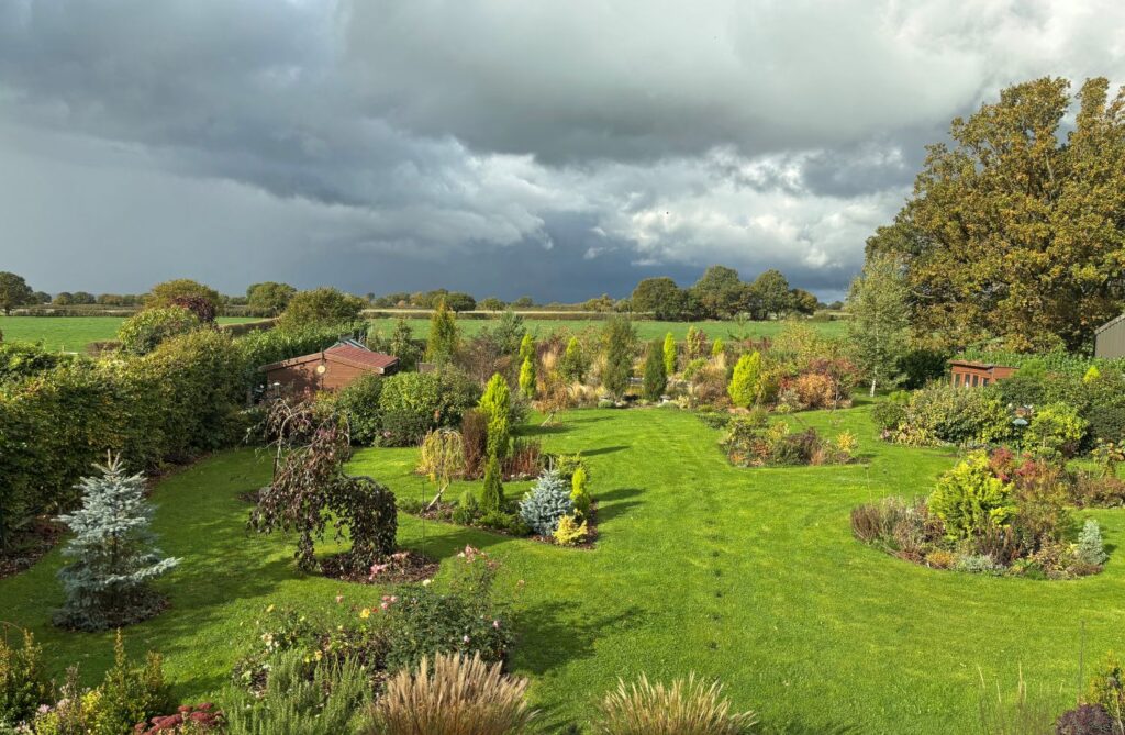 The after shot of the wildlife garden transformation.