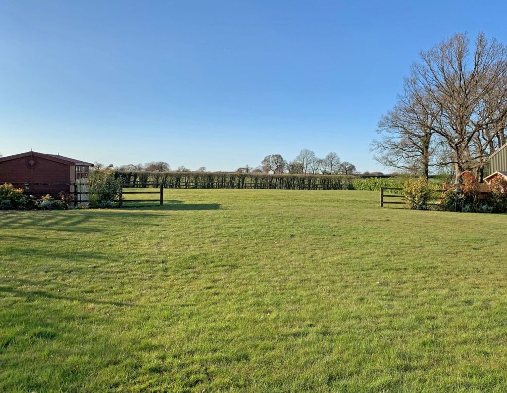 A field of short grass before the garden transformation.