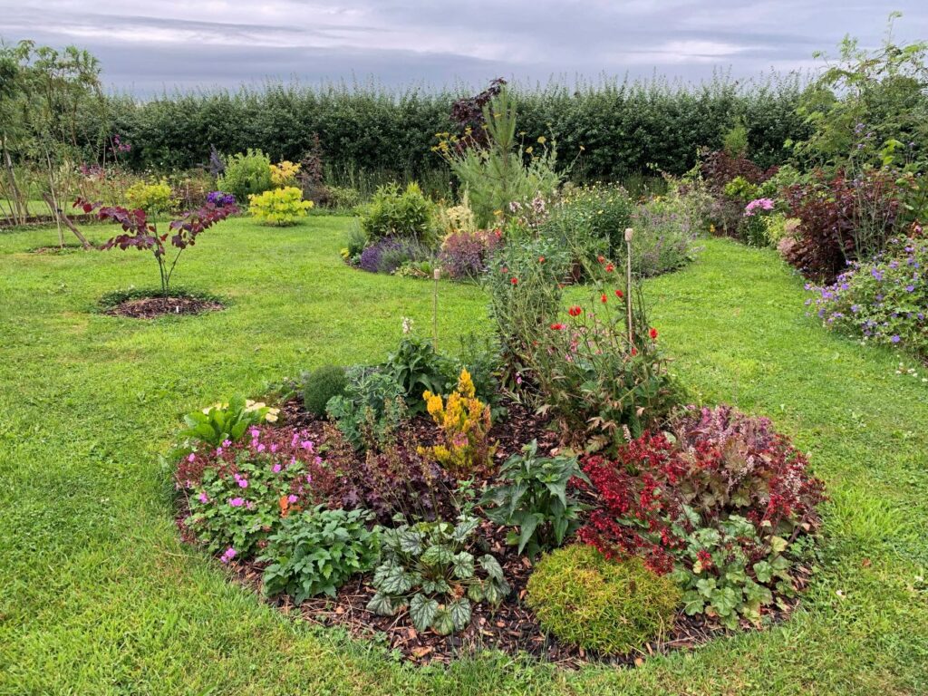 Wildflower island beds and borders.