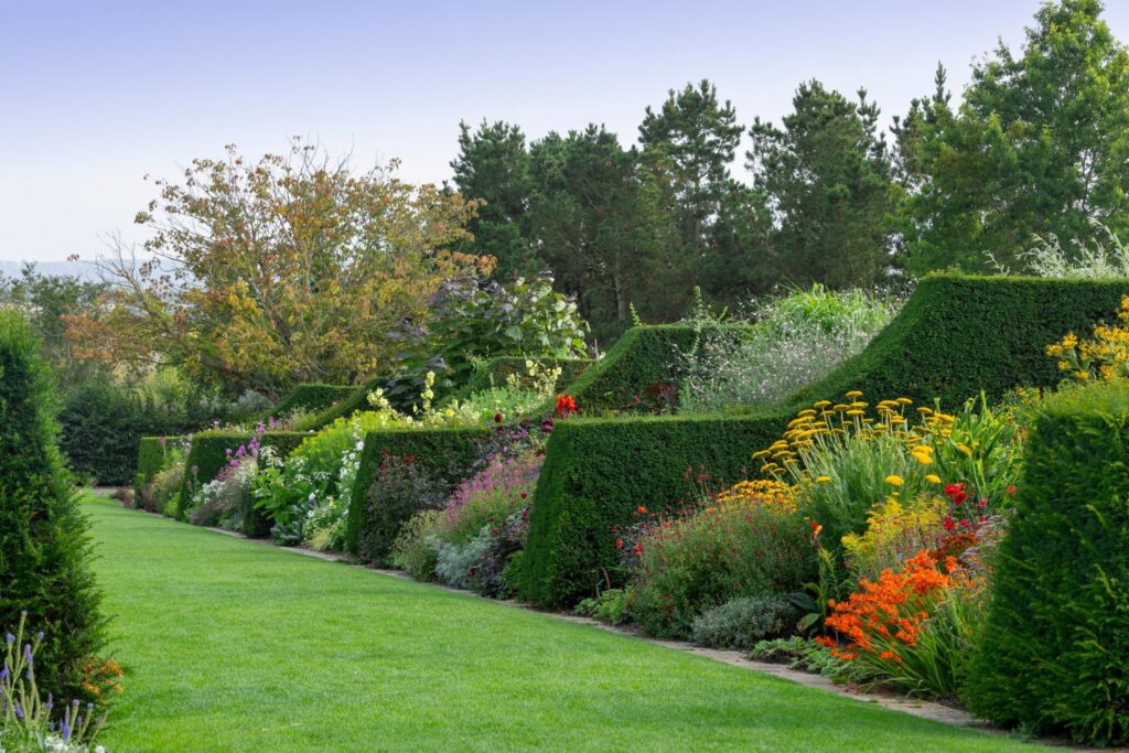 Herbaceous border of colourful flowers including red and orange with green hedges