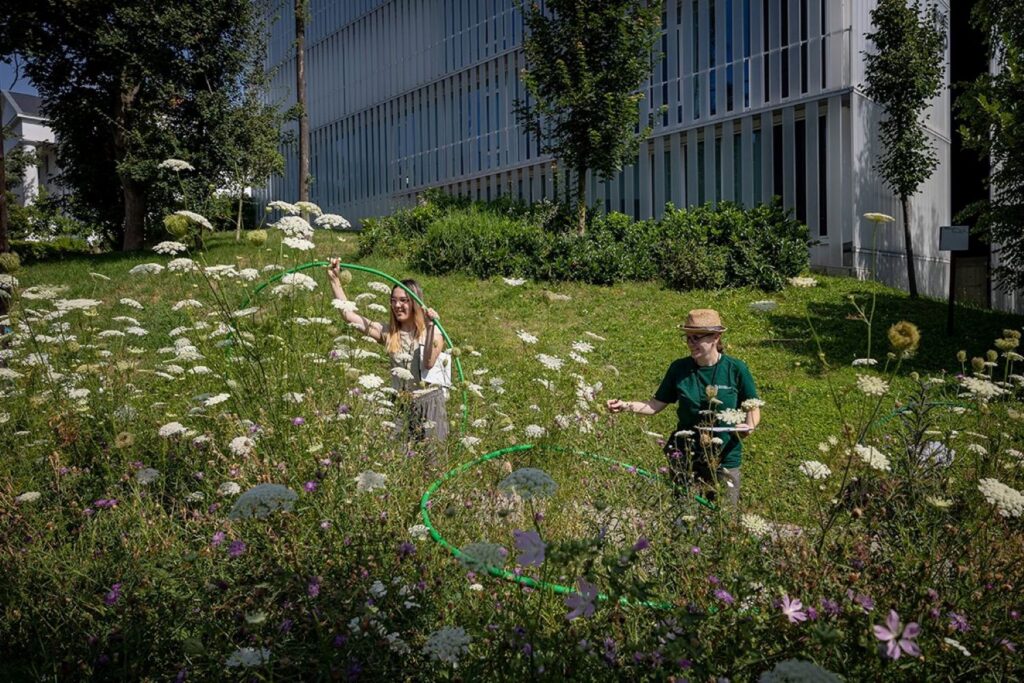 Two researchers standing in a city park of widflowers.