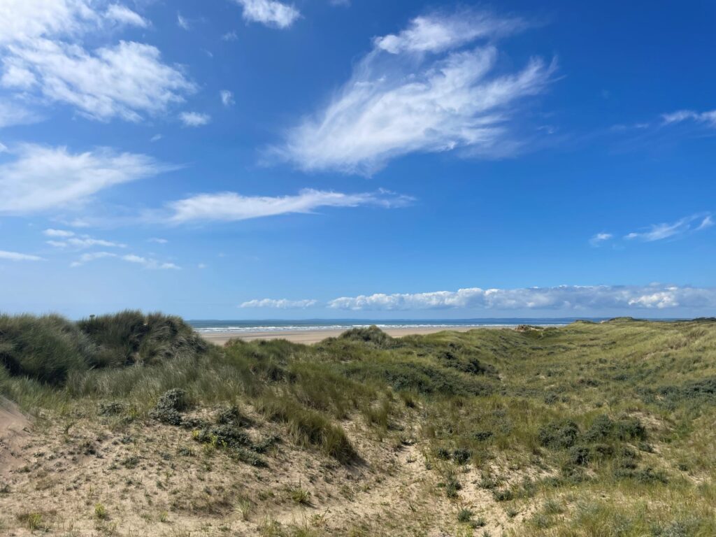 Landscape of flora in dunes with blue sky