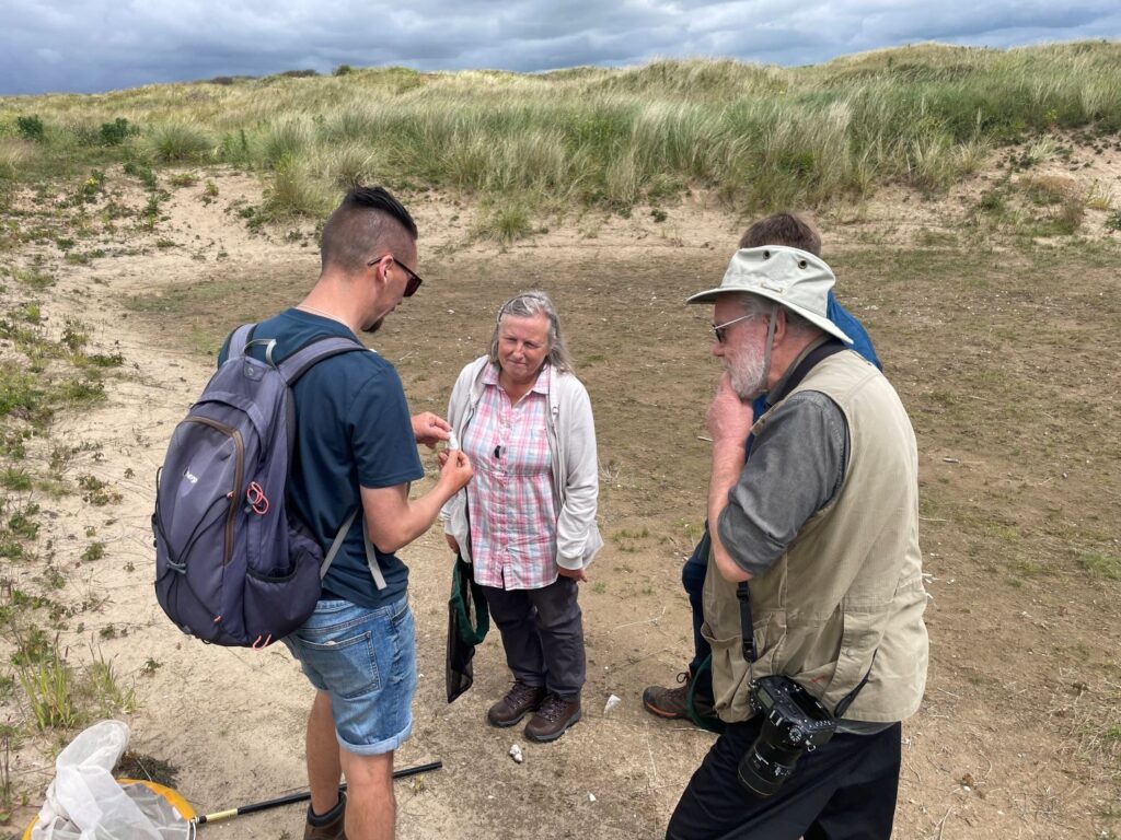 Group of people in sand dunes looking a bumblebee