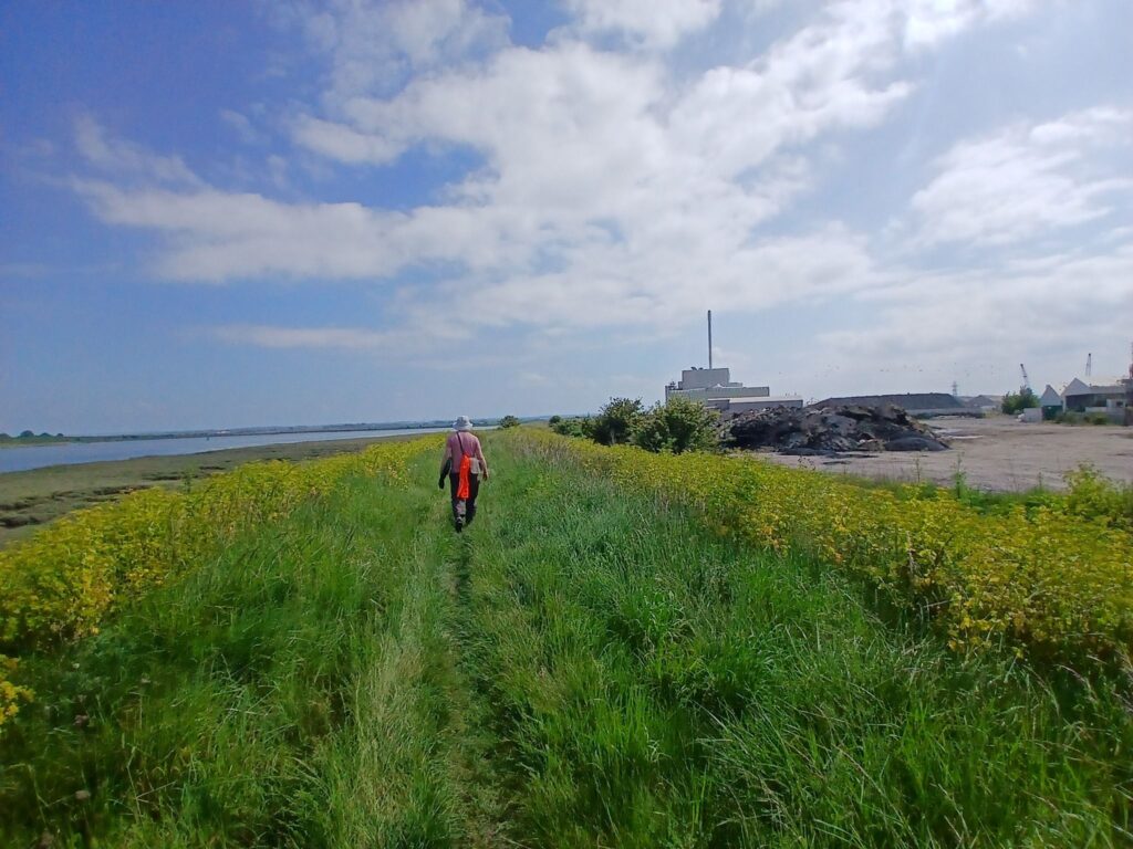 Person walking through green grass with sea to left and building to the right
