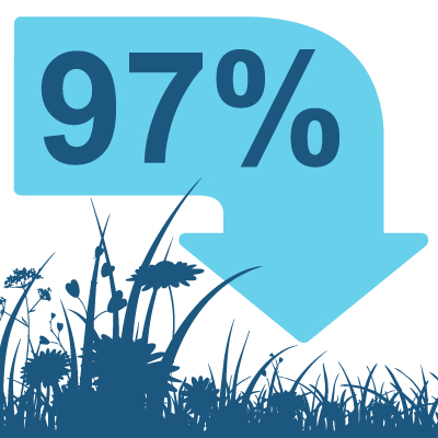 Infographic showing a downward arrow over wildflowers representing 97% of species-rich grassland lost in the UK between 1934 and 1984.