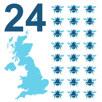 Infographic showing a UK map and rows of bumblebee icons representing 24 bumblebee species currently found in the UK.
