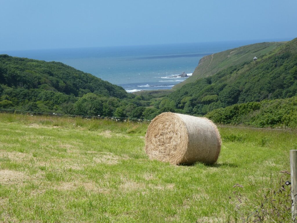 Hay bale in field with sea in the distance