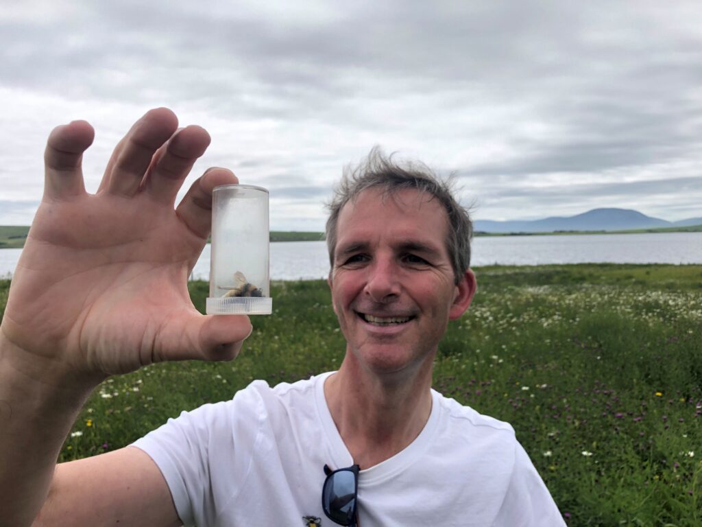 Liam McArthur MSP first Great Yellow bumblebee sighting