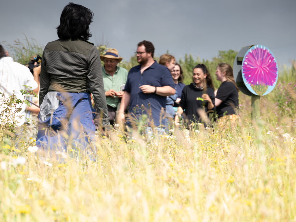 Group of people with nets surrounded by wildflowers