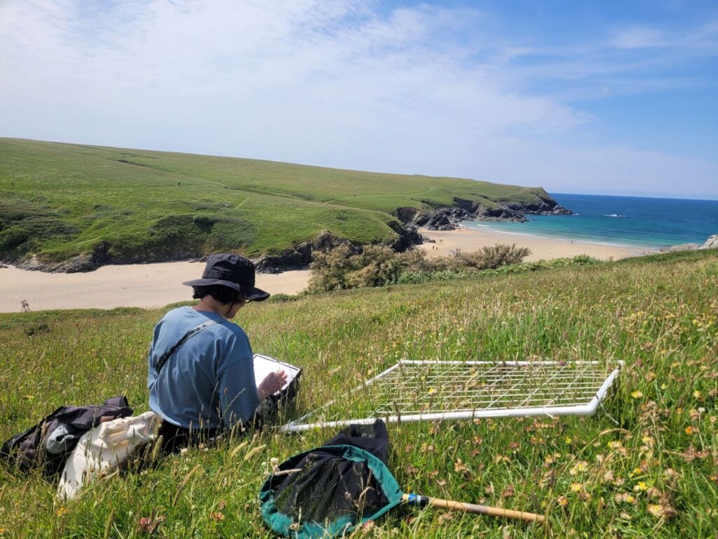 Conservation Officer Pip Cook observing and recording the Moss carder bumblebee