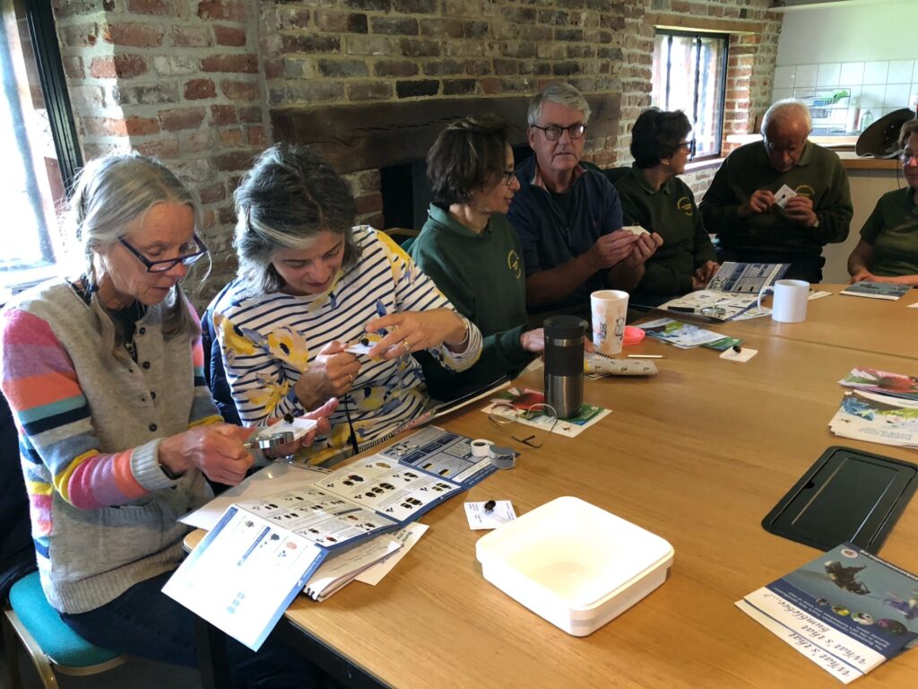 Group of people sat around table with bumblebee ID leaflets talking