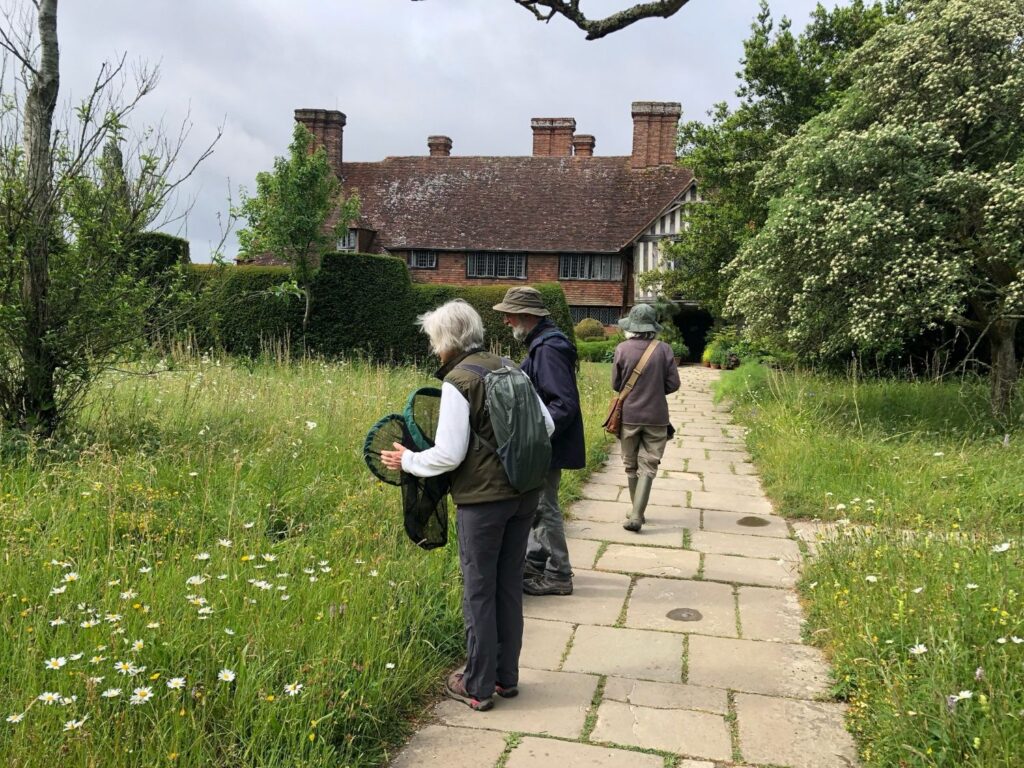 Group of people walking through gardens with house in background holding nets looking for bumblebees