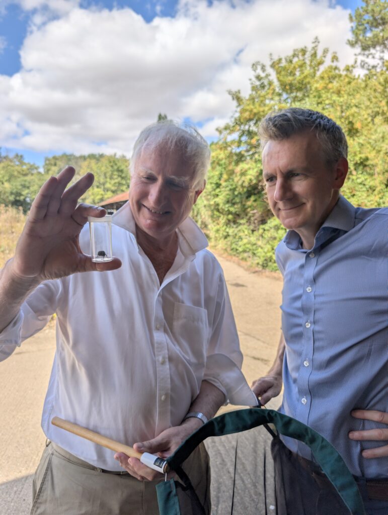 MP Daniel Zeichner and Bumblebee Conservation Trust CEO Andrew Impey looking at Ruderal bumblebee