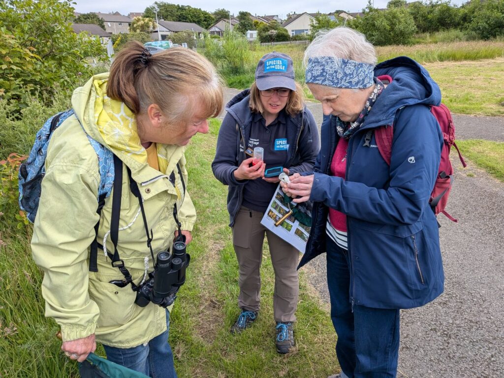 Three people in outdoor wear looking at a bumblebee