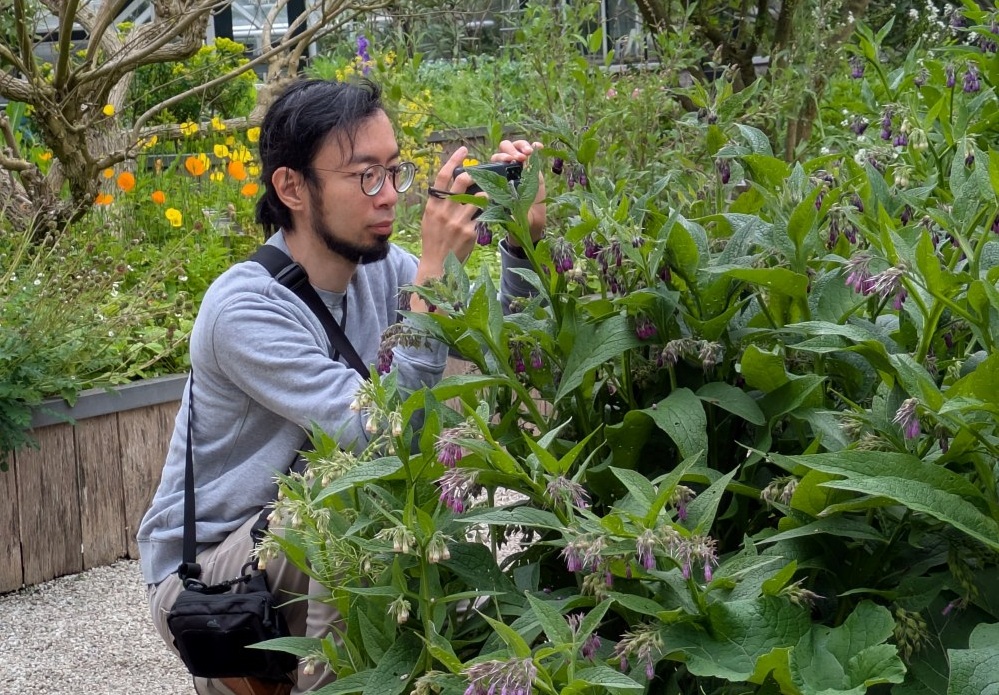 Man crouched down taking photos surrounded by flowers on gravel path